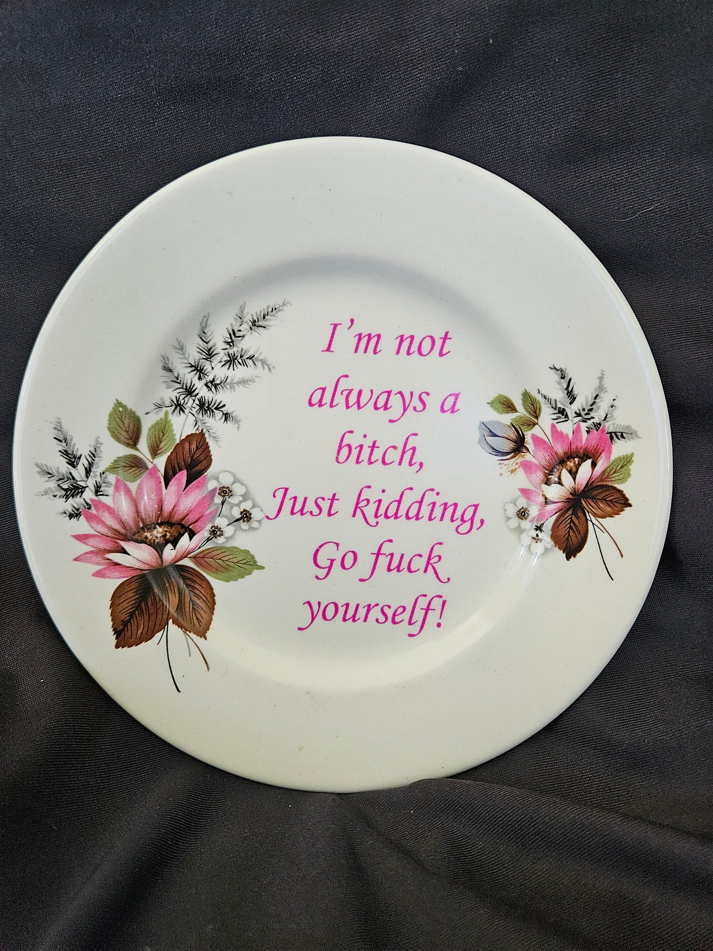I'm not always a bitch, Just kidding, Go fuck yourself Plate