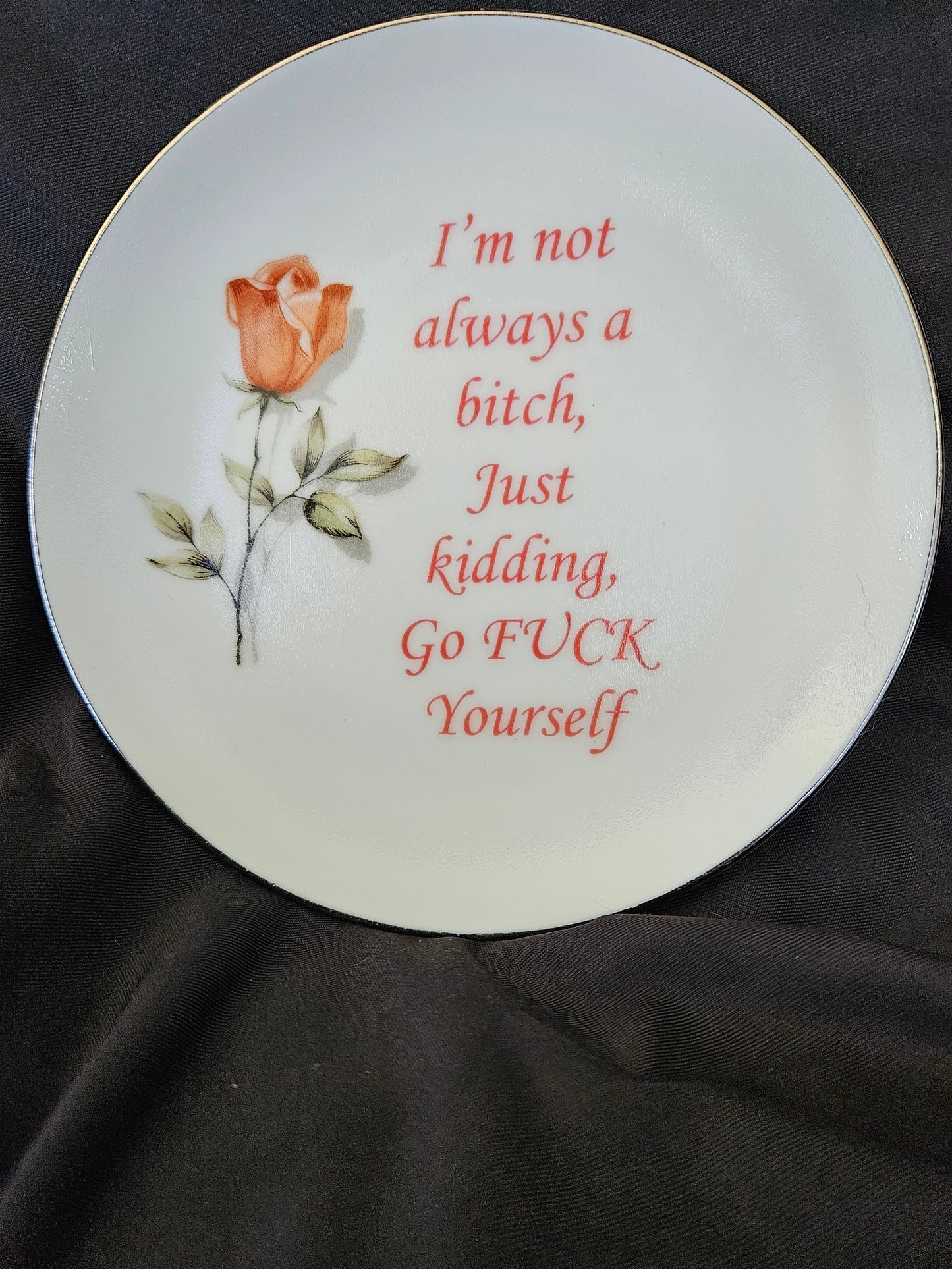 I'm not always a bitch, Just kidding, Go fuck yourself Plate