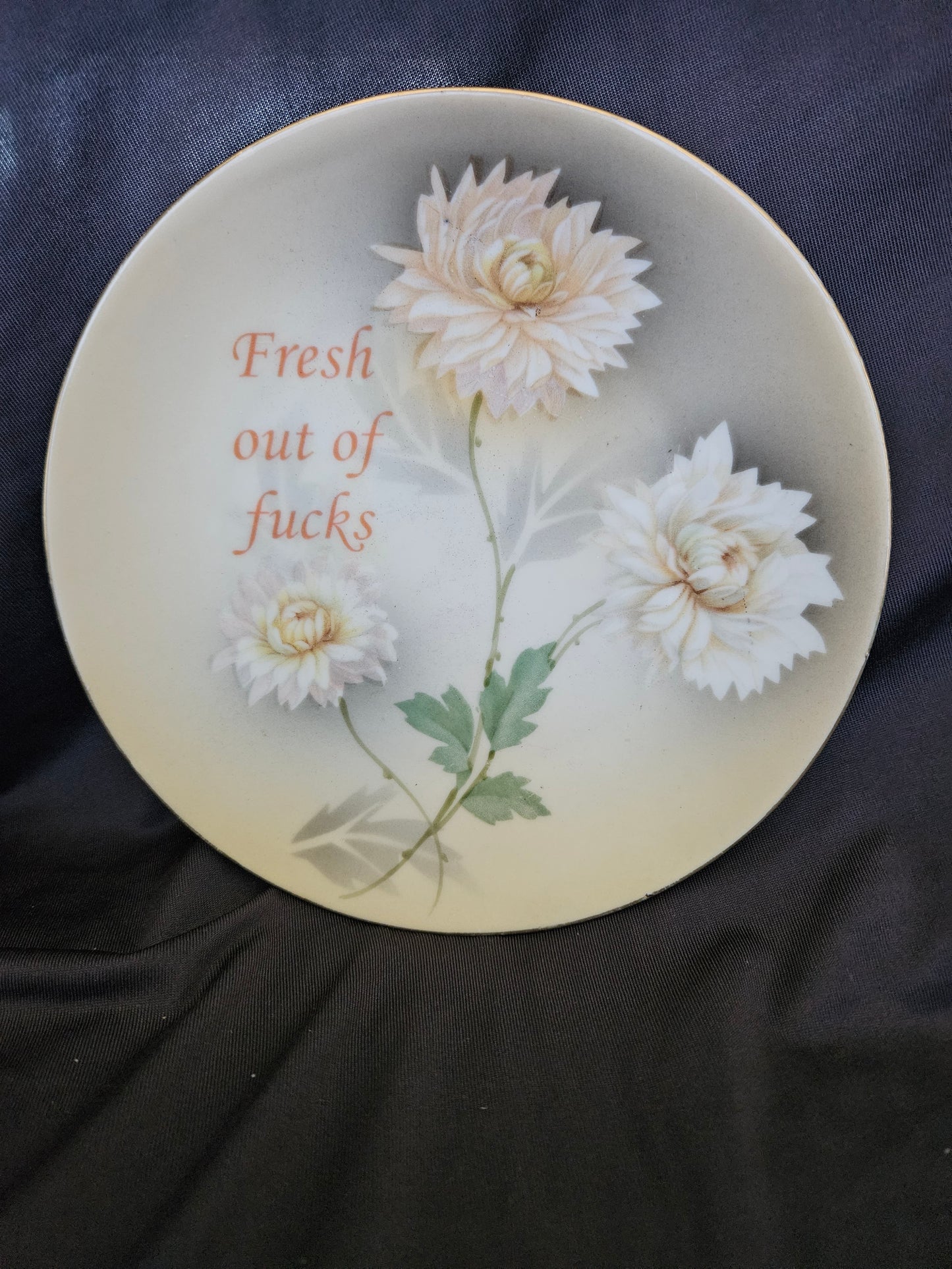Fresh out of fucks Plate