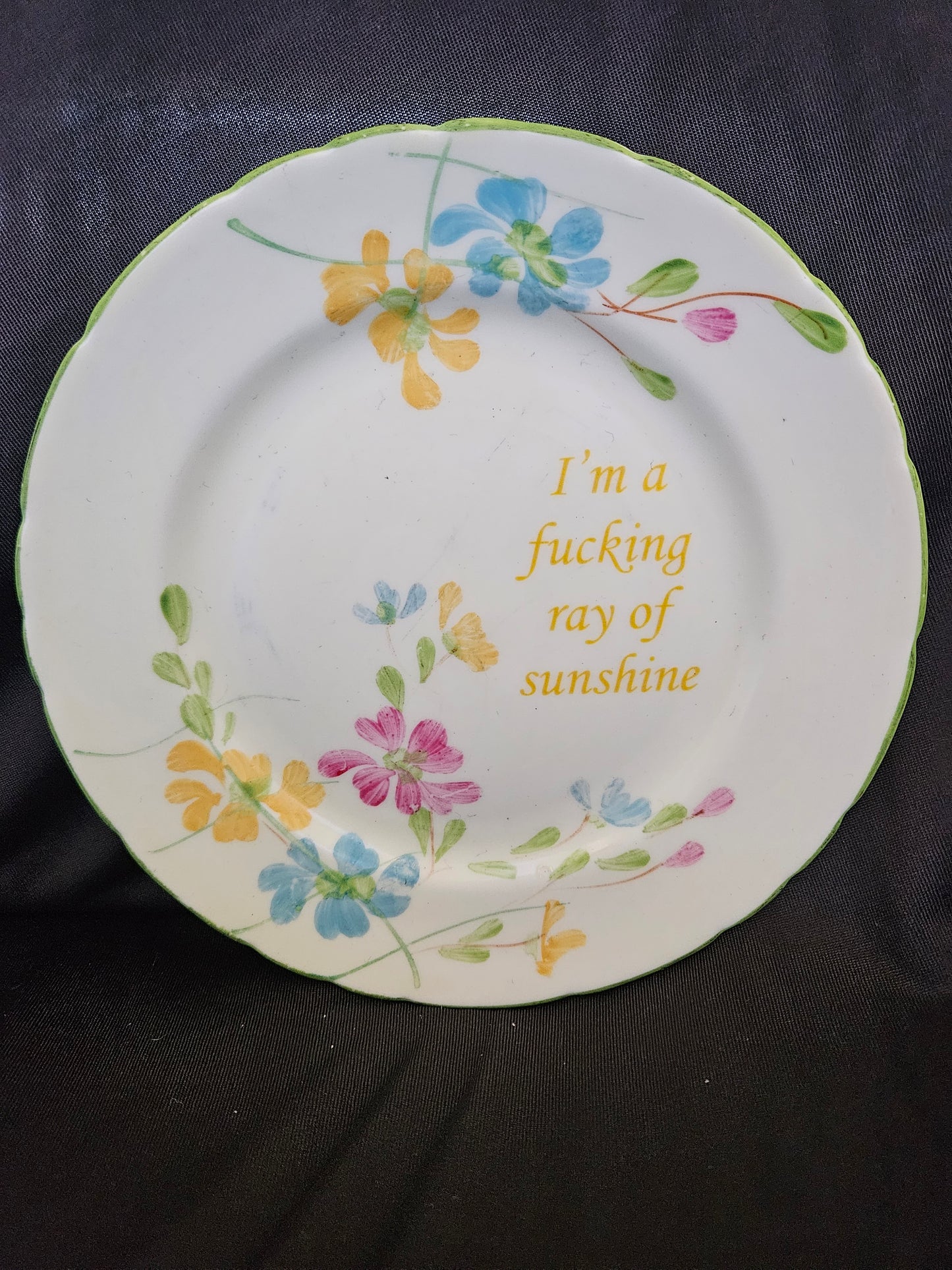 I'm a fucking ray of sunshine Plate