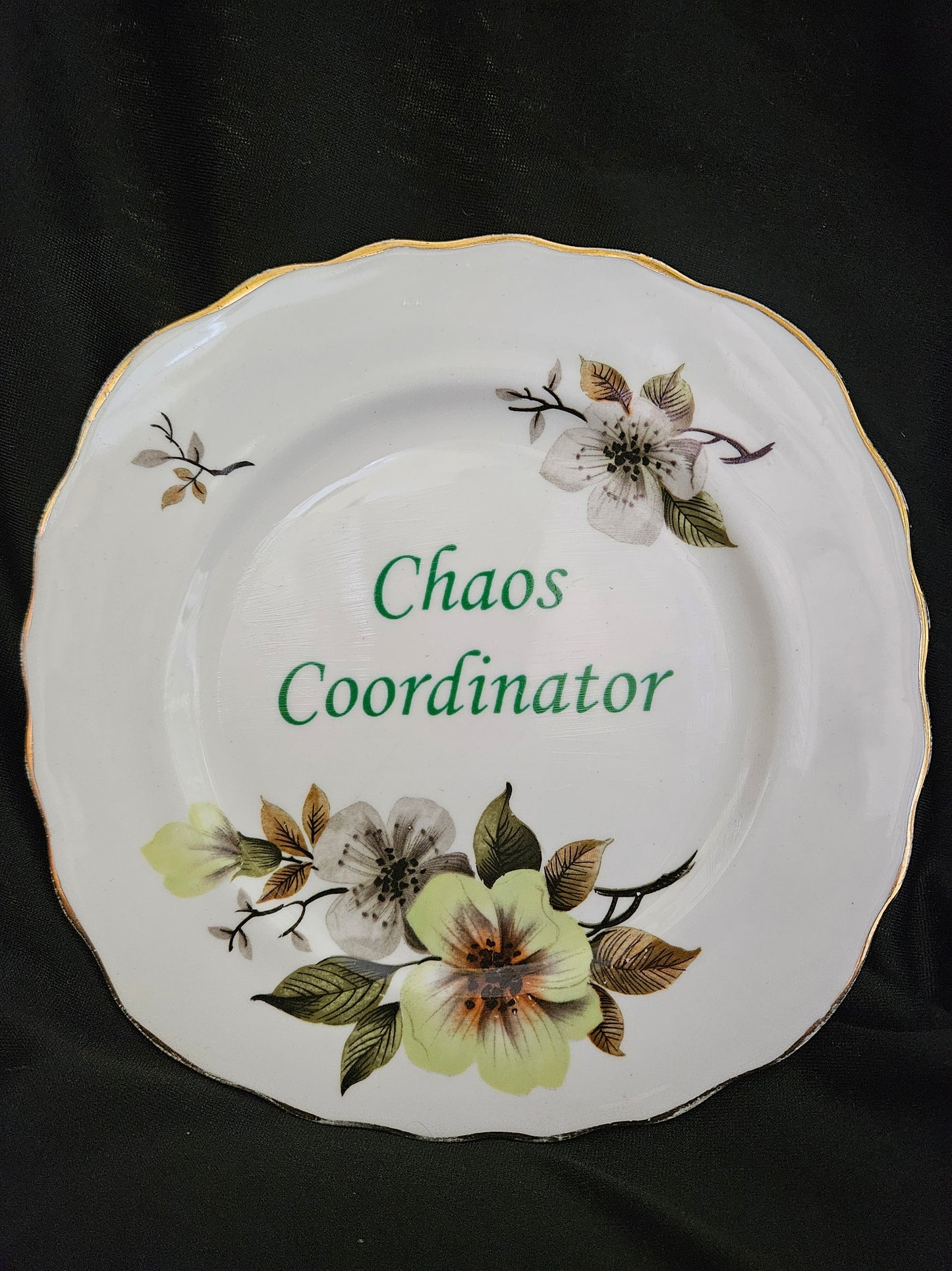 Chao Coordinator Plate