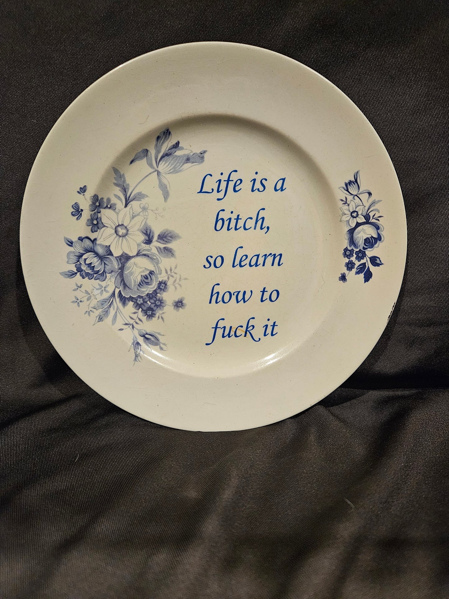 Life is a bitch, so learn how to fuck it Plate