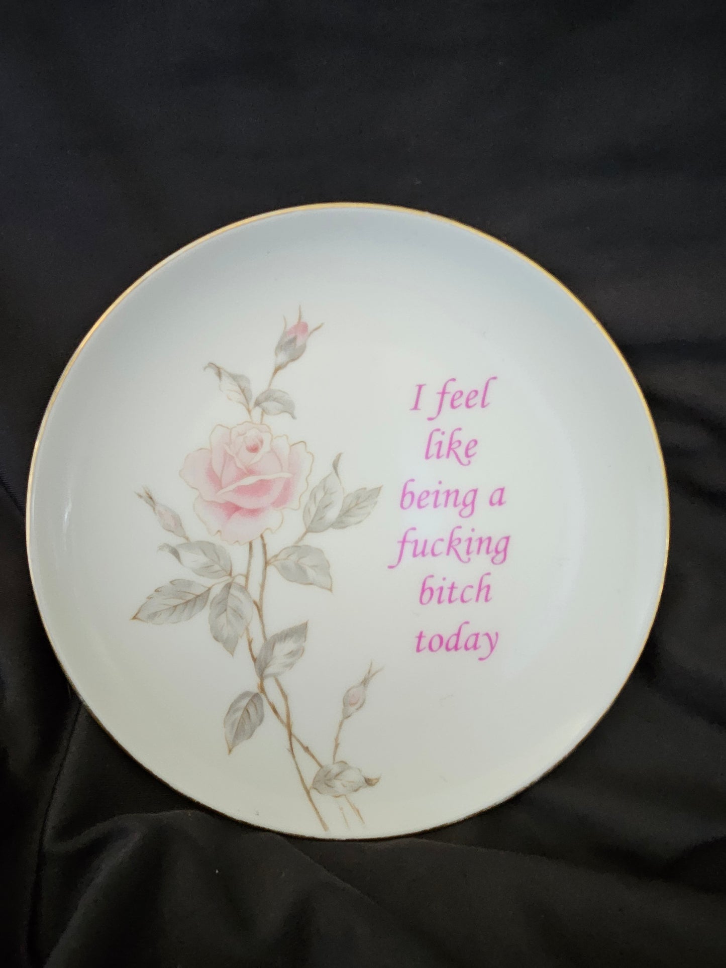 I feel like being a fucking bitch today Plate