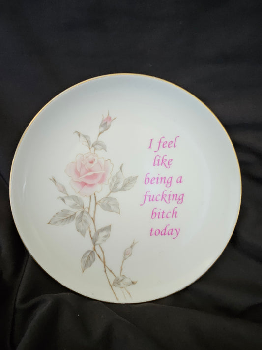 I feel like being a fucking bitch today Plate