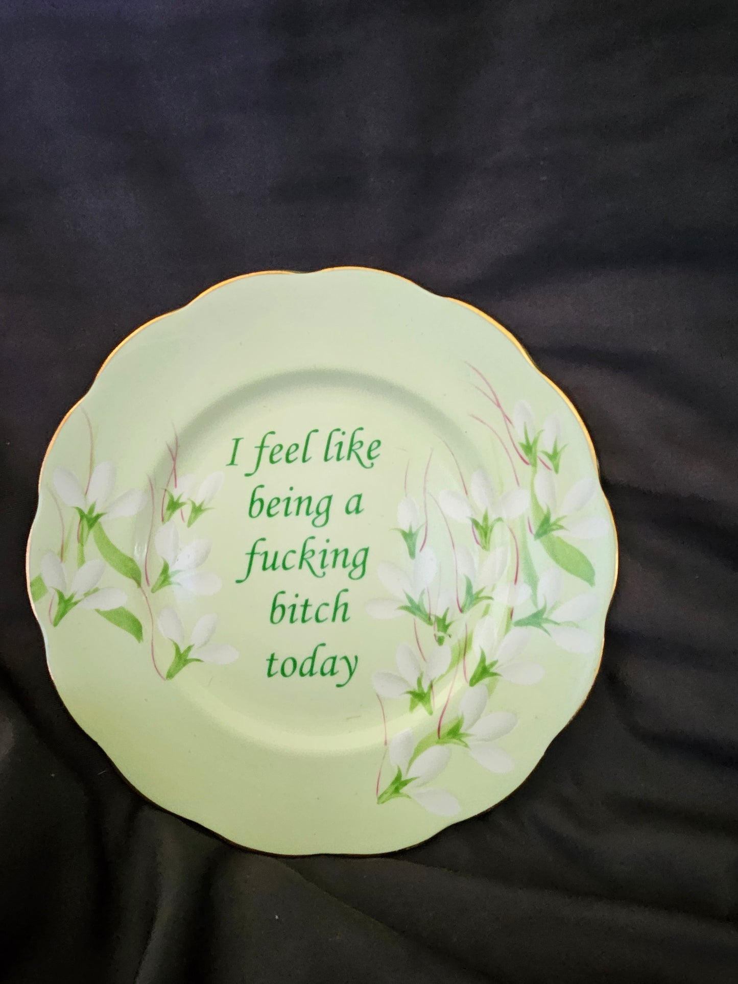 I feel like being a fucking bitch today Plate