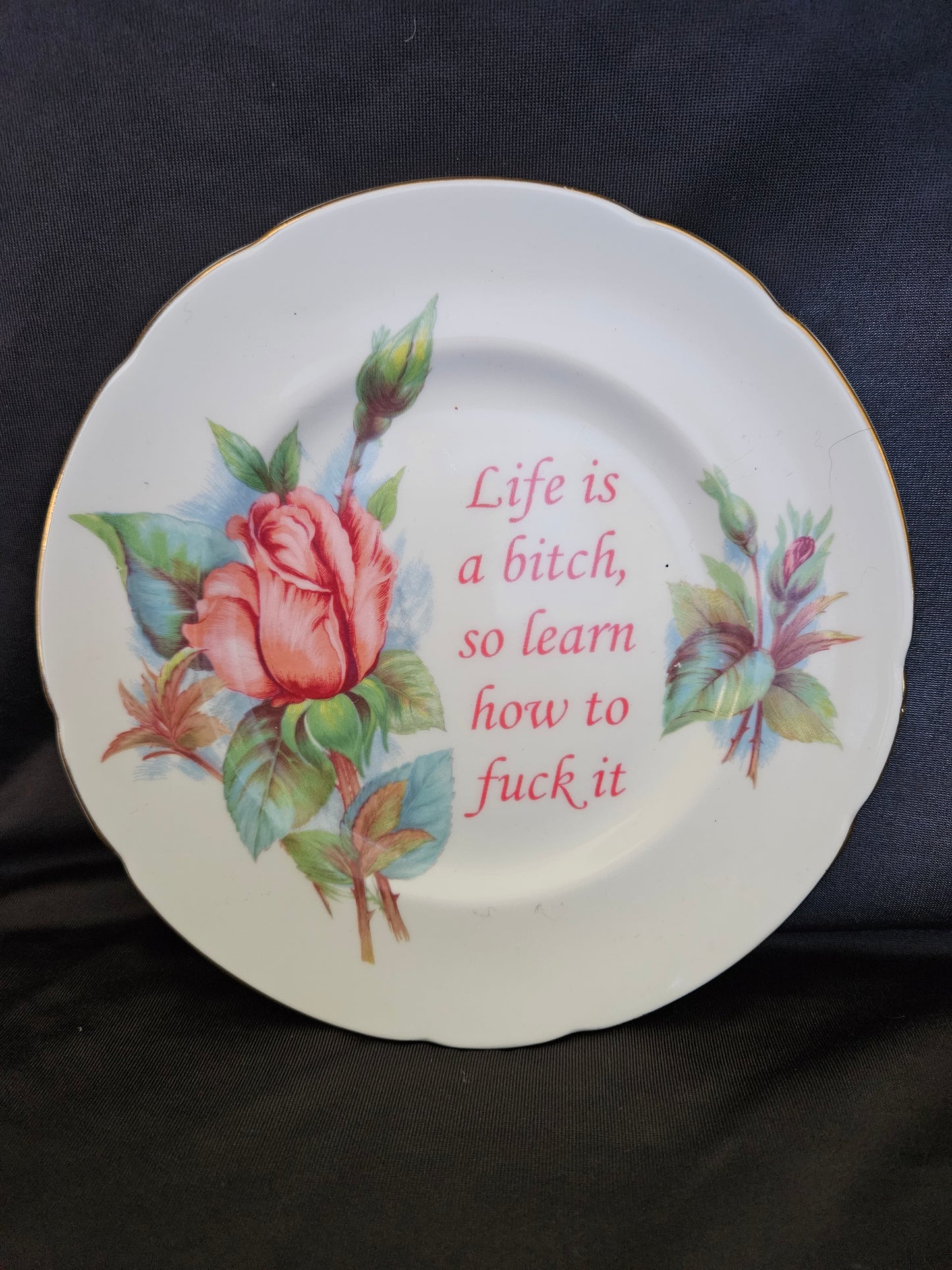 Life is a bitch, so learn how to fuck it Plate