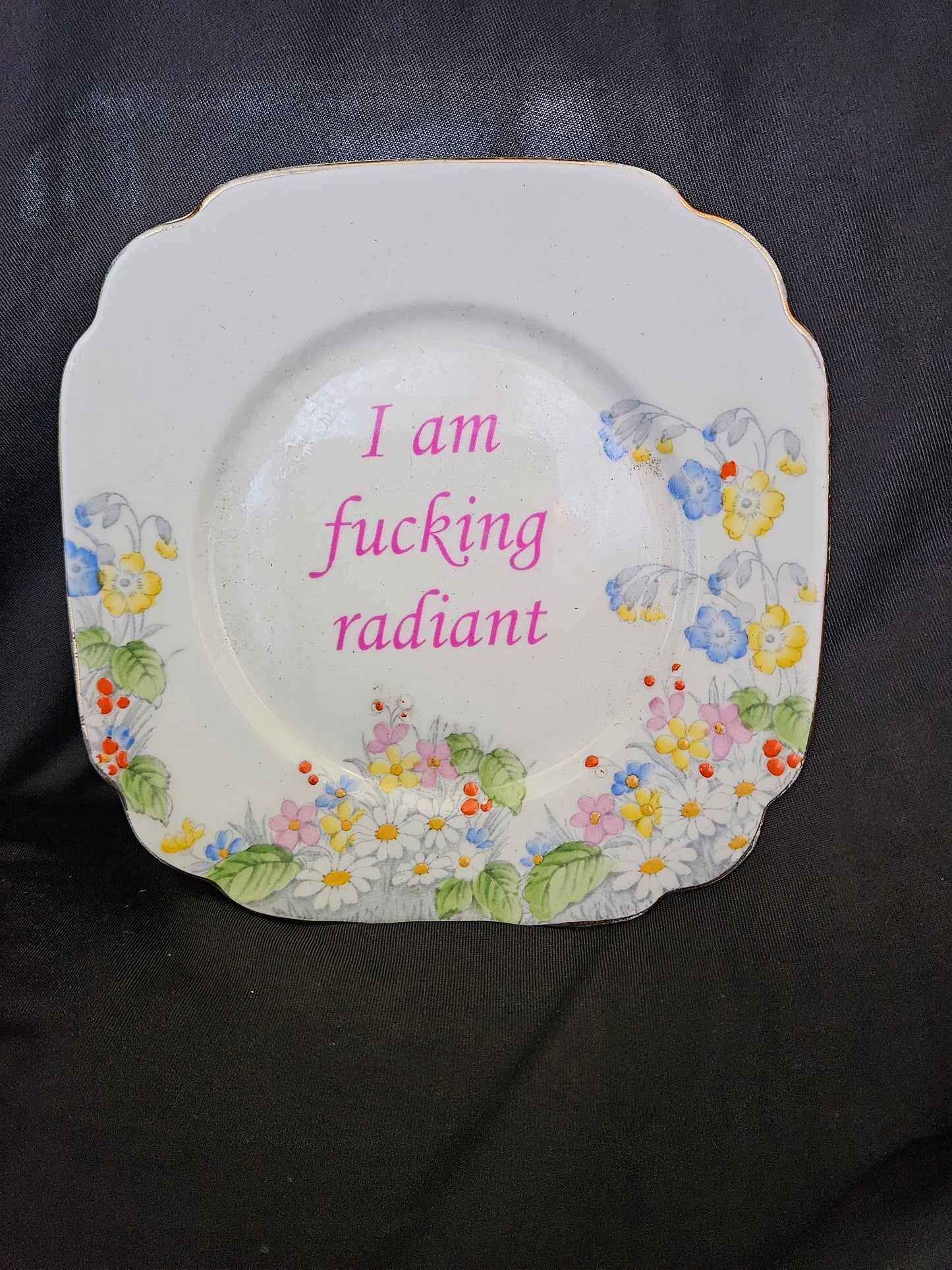I am fucking radiant Plate
