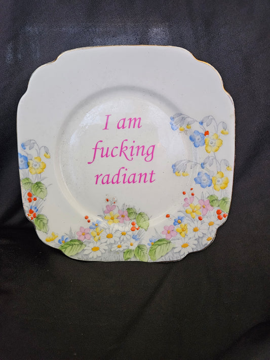 I am fucking radiant Plate