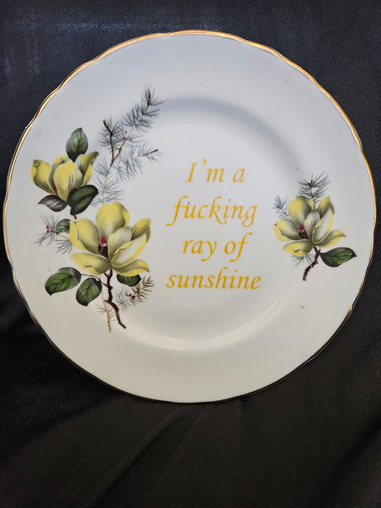 I'm a fucking ray of sunshine  Plate