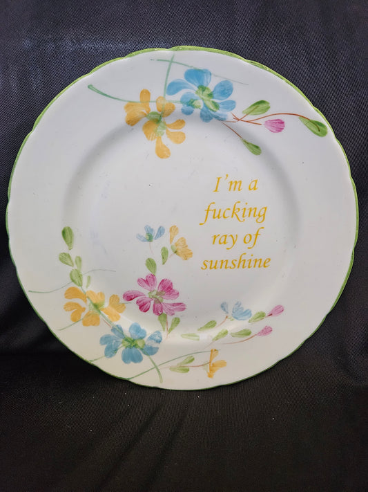 I'm a fucking ray of sunshine  Plate