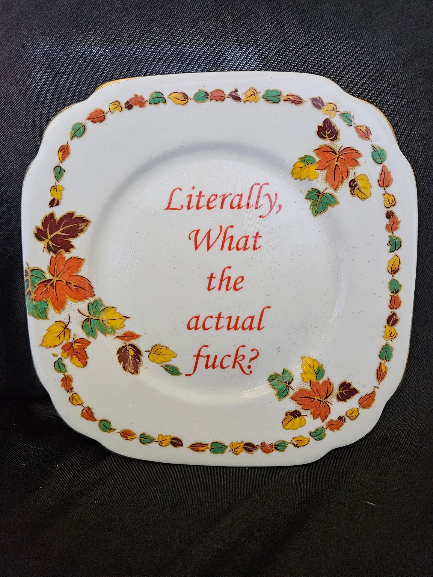 Literally, What the actual fuck Plate