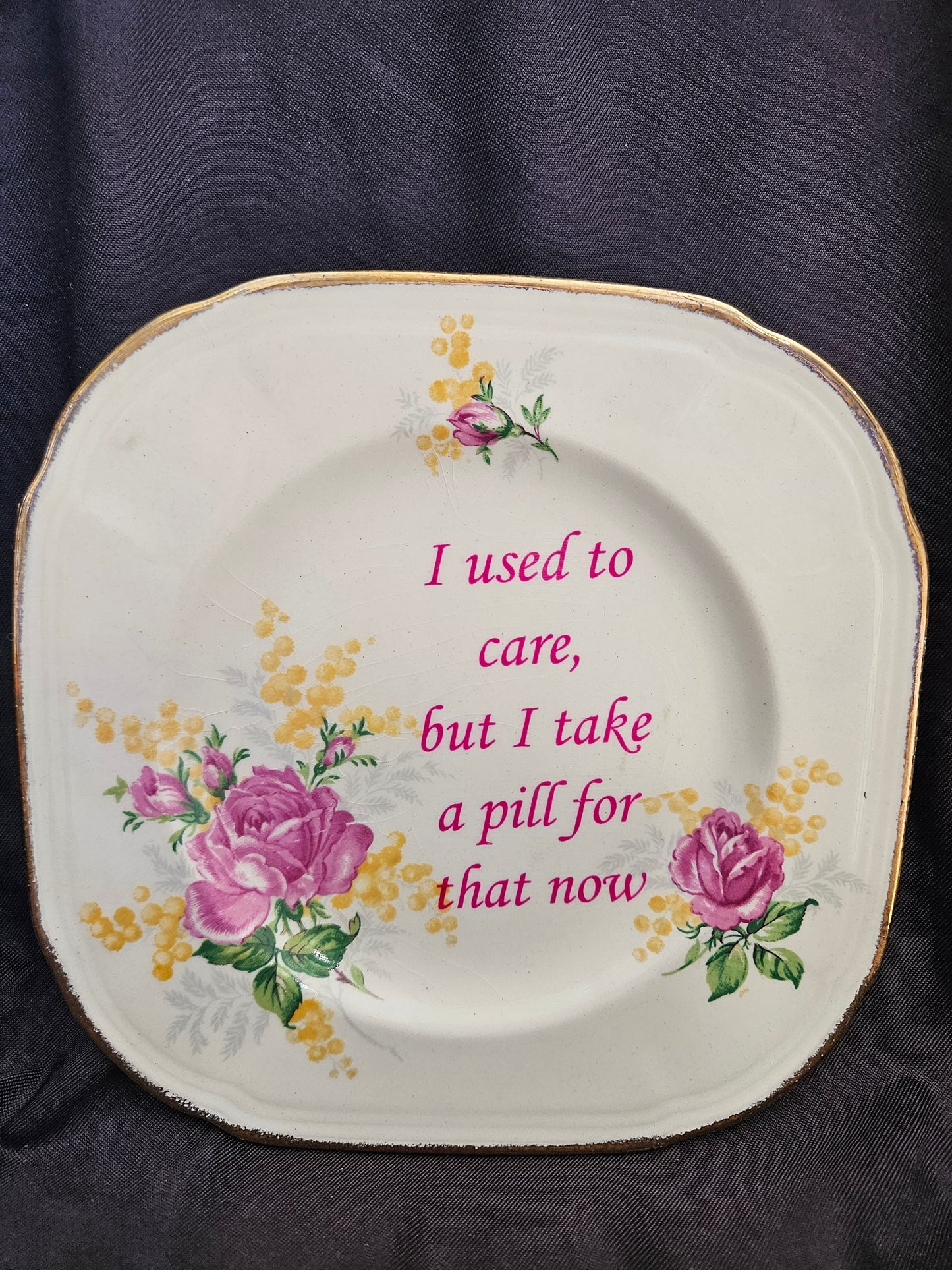 I used to care, but I take a pill for that now Plate