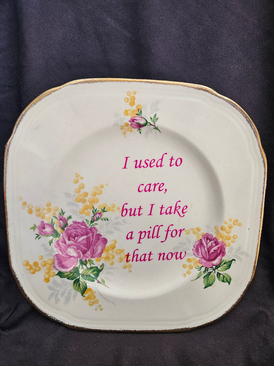 I used to care, but I take a pill for that now Plate