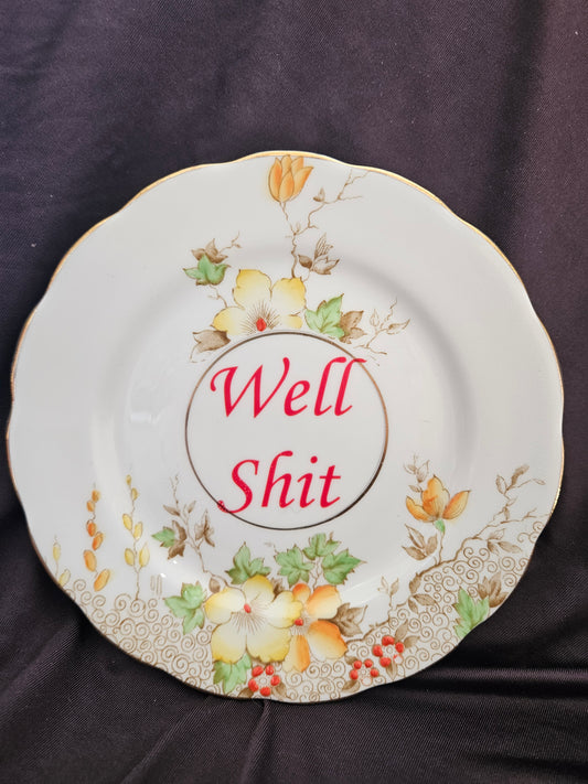 Well shit Plate