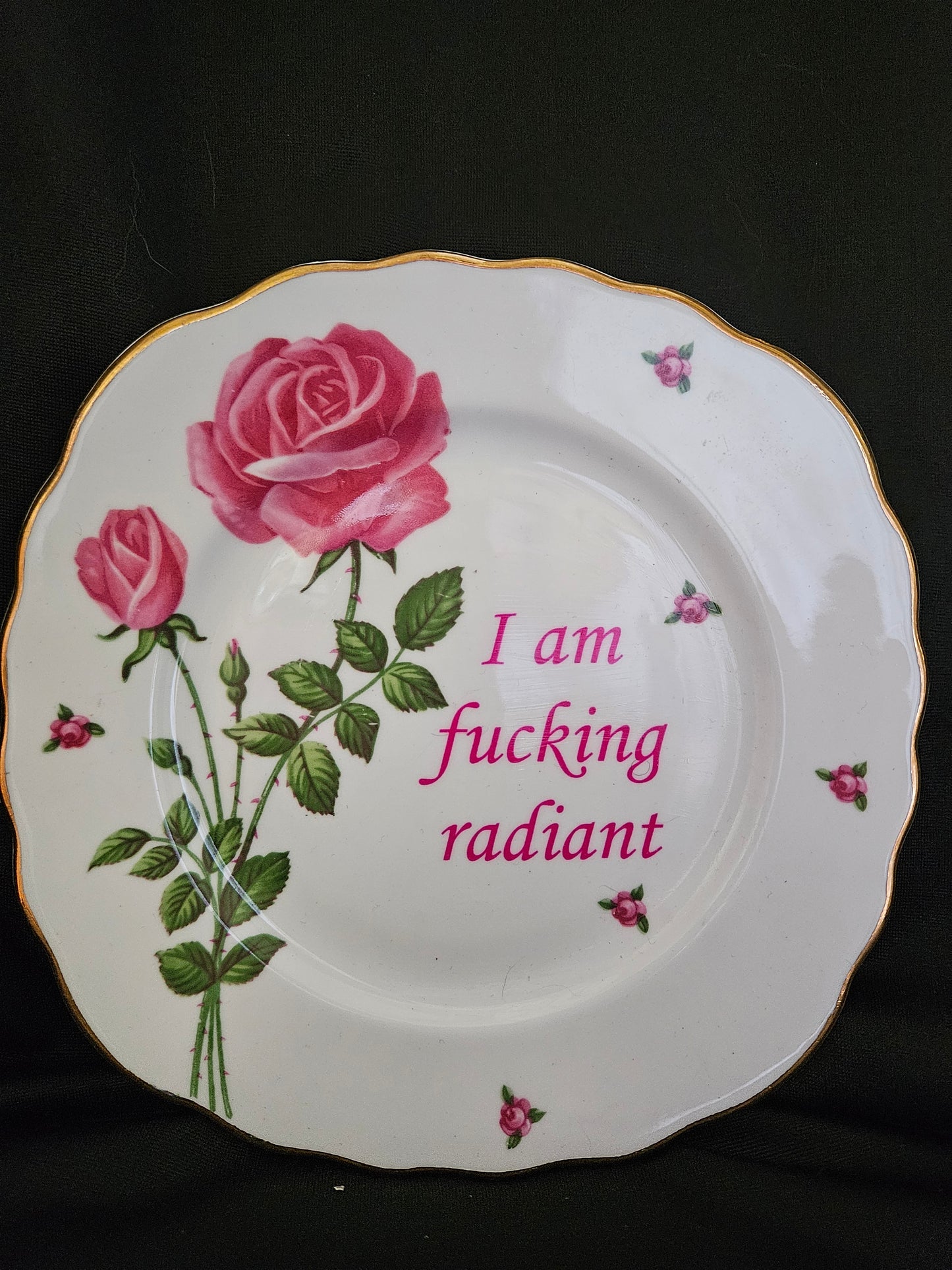 I am fucking radiant Plate