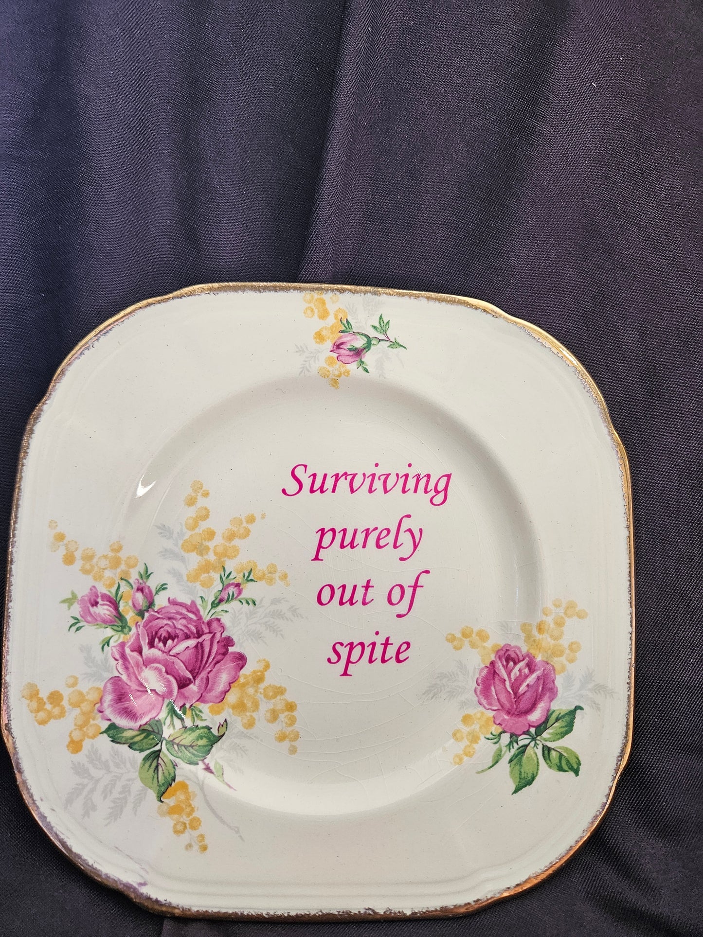 Surviving purely out of spite Plate