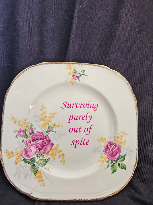 Surviving purely out of spite Plate