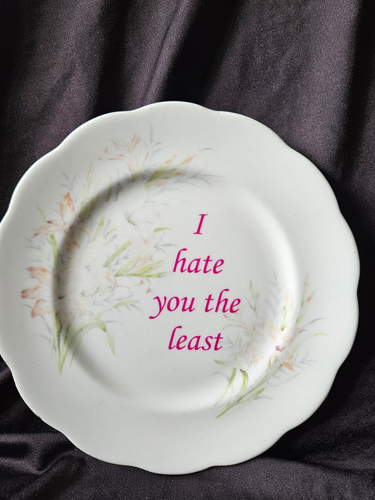 I hate you the least Plate