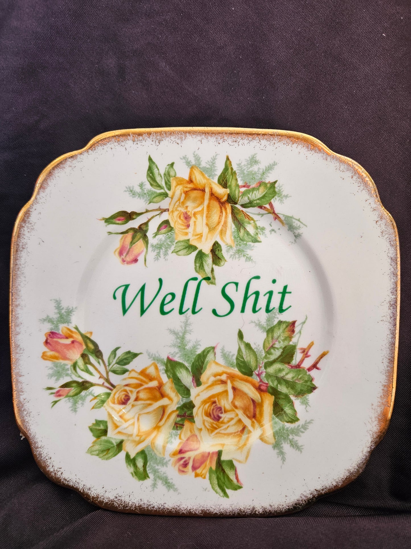 Well shit Plate