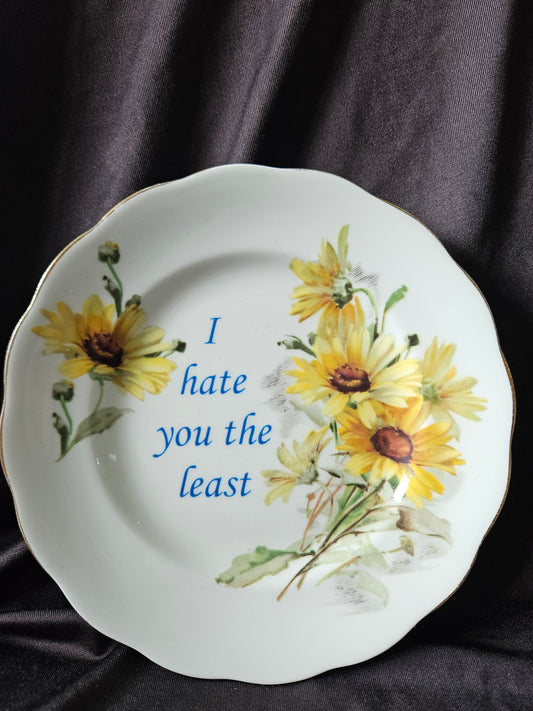 I hate you the least Plate